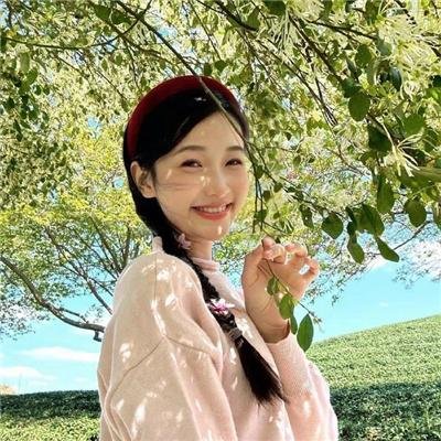 血溅锦山河